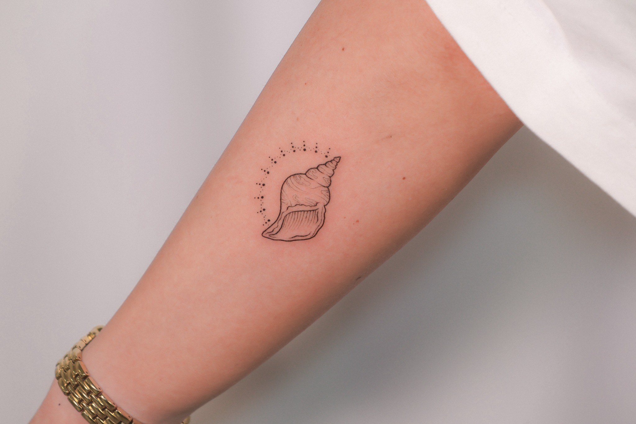Tatuaje fineline de caracola marina realizado por Shira Tattoo