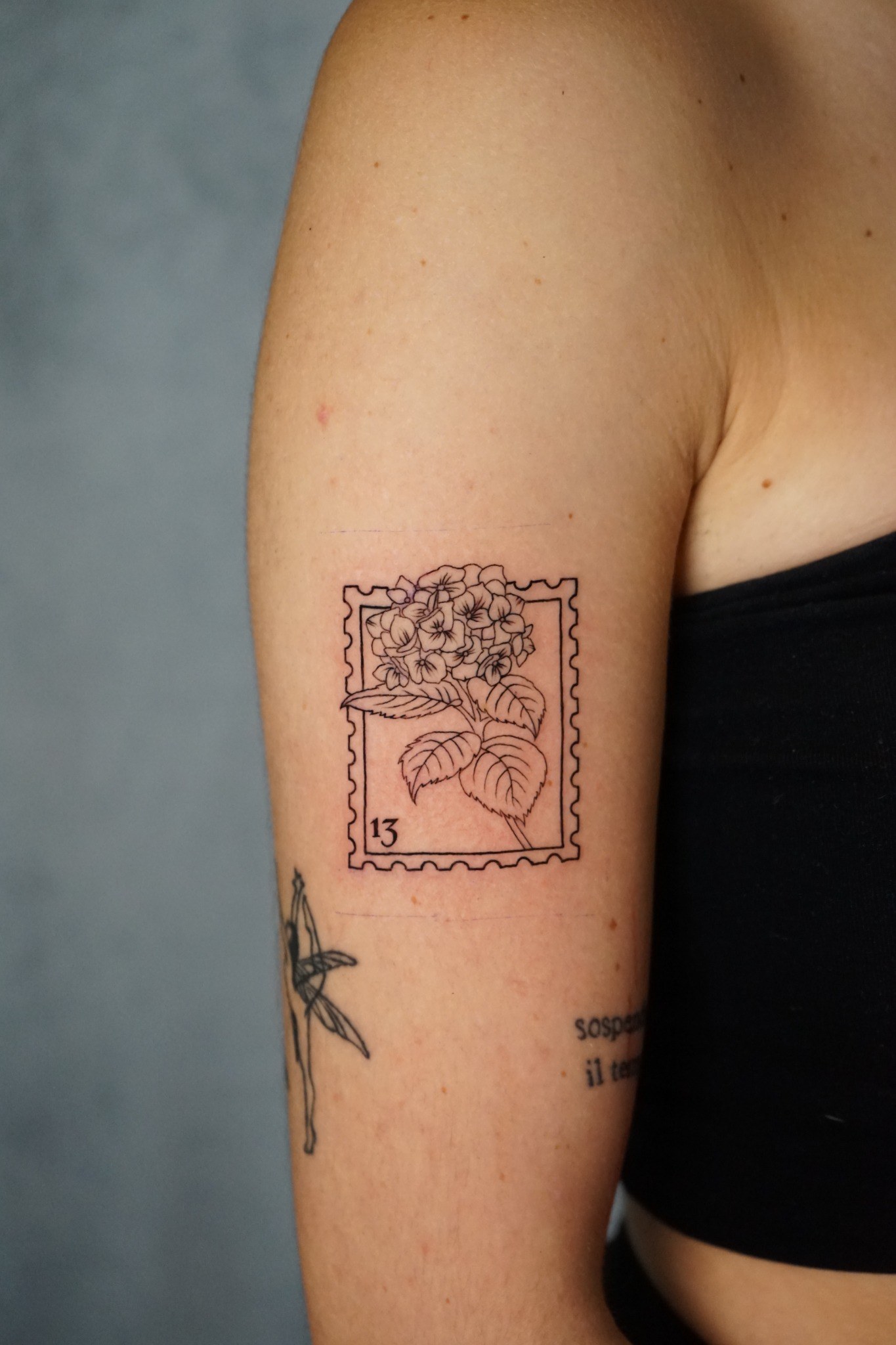 Tatuaje fineline de sello postal con hortensia realizado por Shira Tattoo