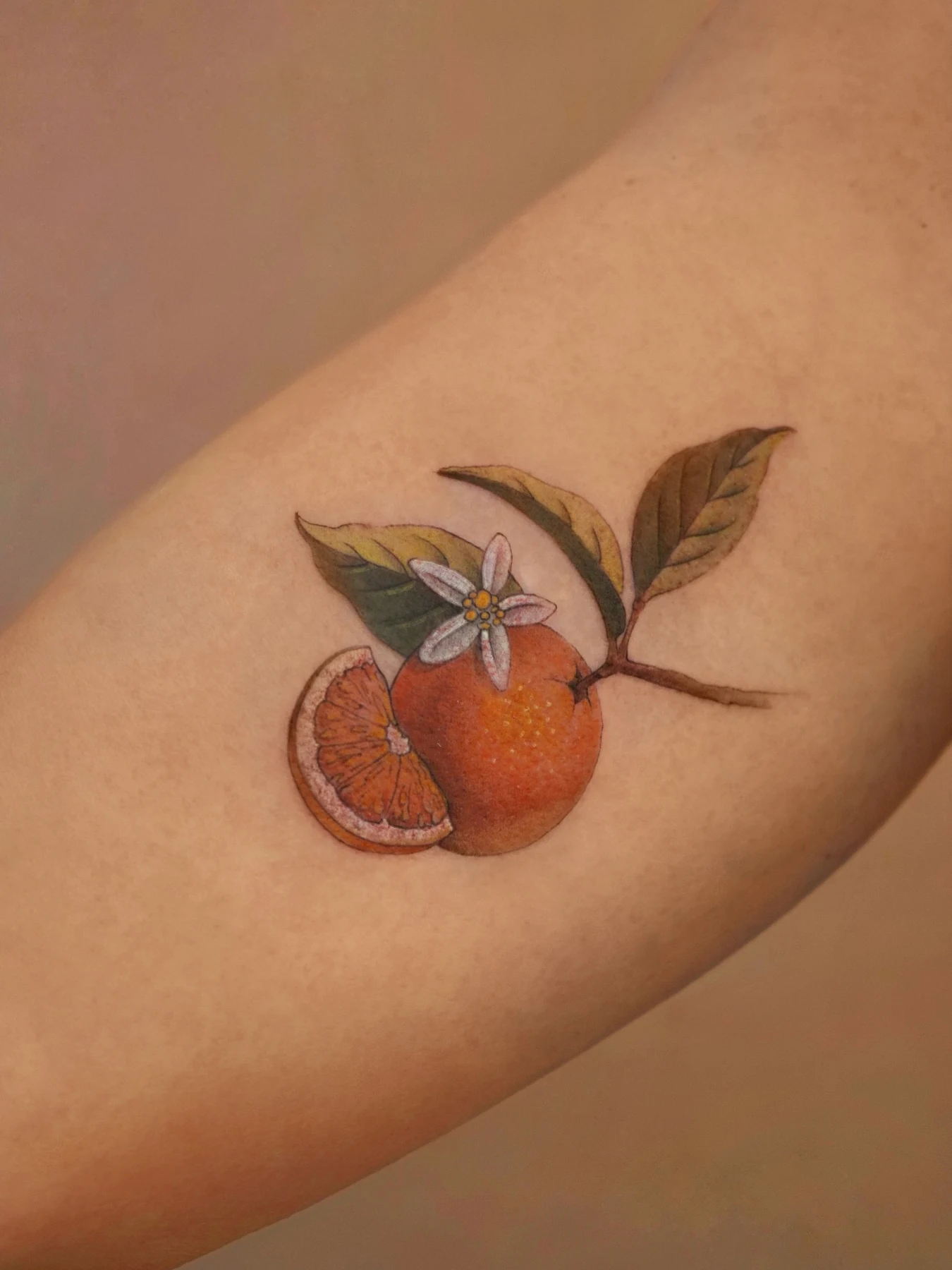 Tatuaje de microrealismo de Shira · obra 01