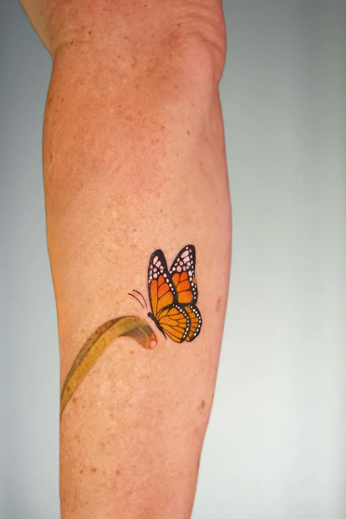 Mariposa y flores en microrealismo
