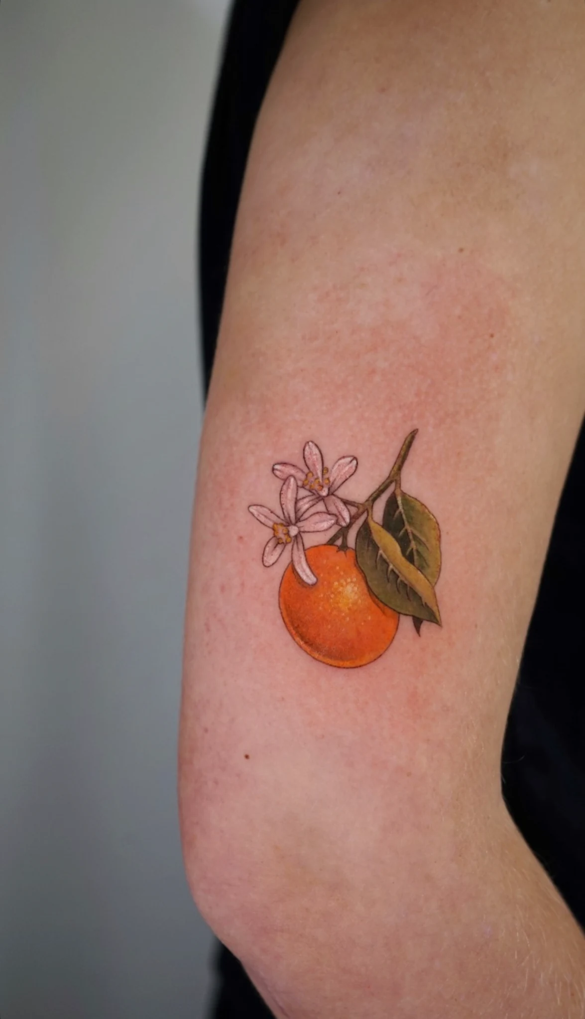 Tatuaje de microrealismo de Shira · obra 17