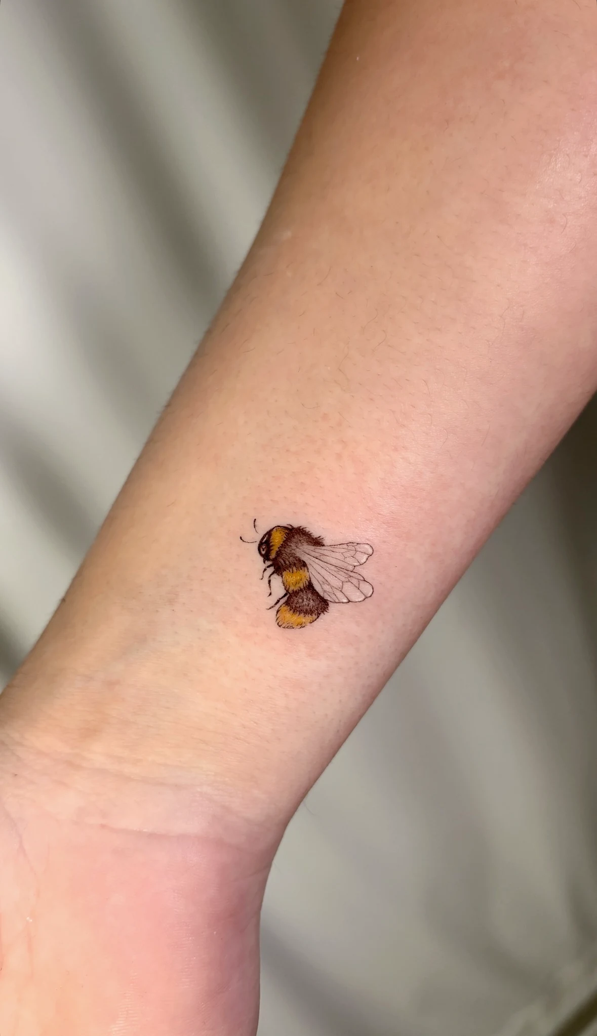 Tatuaje de microrealismo de Shira · obra 18