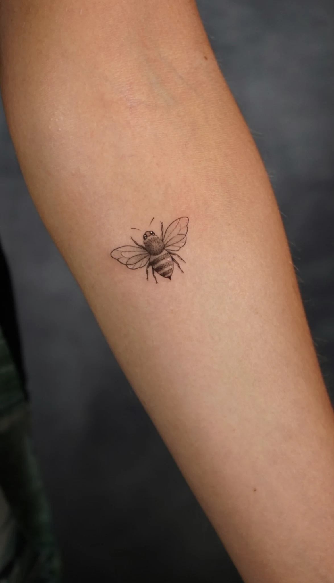 Tatuaje de microrealismo de Shira · obra 20