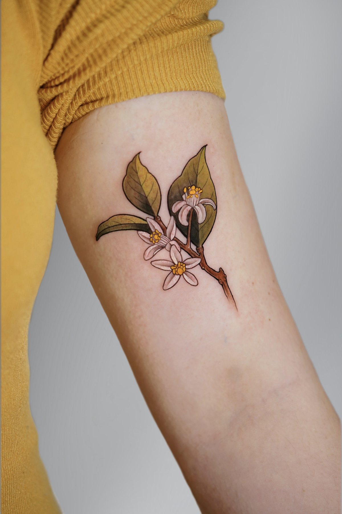 Tatuaje neotradicional de Shira · obra 25